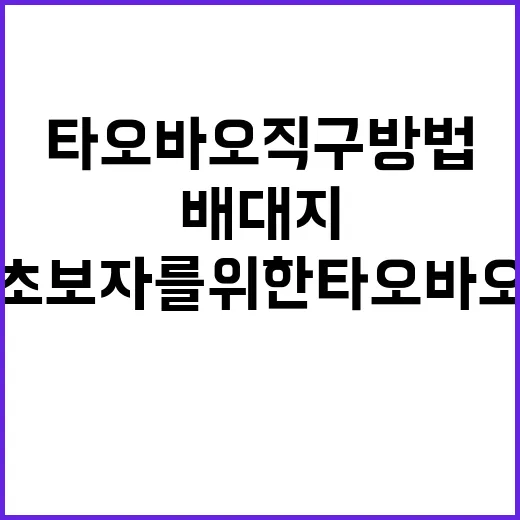 초보자를 위한 타오바오 직구방법, 배대지부터 결제까지 이렇게 하면 덜 헤맵니다 - 요약