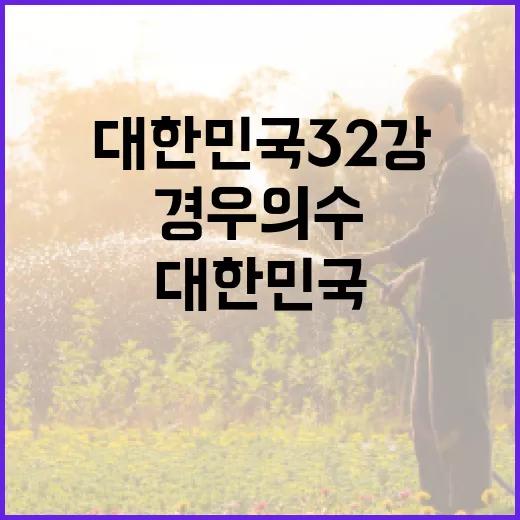 대한민국32강경우의수 계산하는 방법, 승점표 볼 때 이렇게 보면 쉽습니다 - 요약