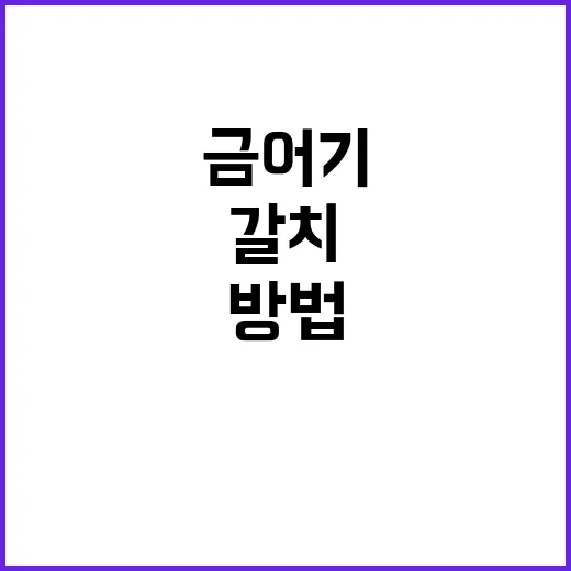 갈치 금어기 헷갈리지 않고 지키는 방법 - 요약
