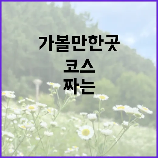 수원 가볼만한곳 하루 코스 알뜰하게 짜는 방법 - 요약