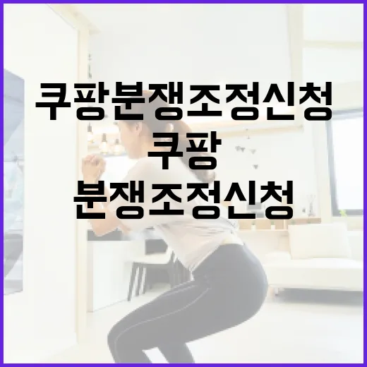 쿠팡 분쟁조정 신청하려면 이렇게 준비하세요 - 요약