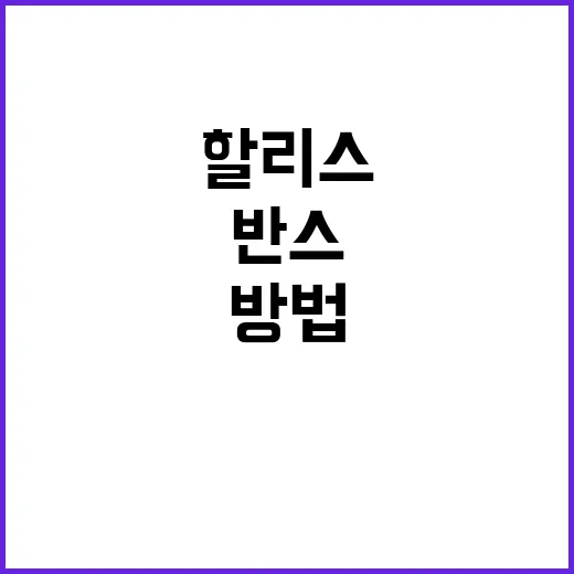 할리스 반스 찾는 방법, 헷갈릴 때 이렇게 확인하세요 - 요약