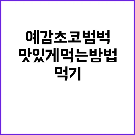 예감 초코범벅 맛있게 먹는 방법, 그냥 먹기 아쉬울 때 이렇게 - 요약