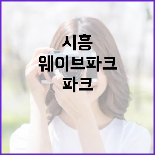 시흥 웨이브파크 처음 가려면 이렇게 준비하는 방법 - 요약