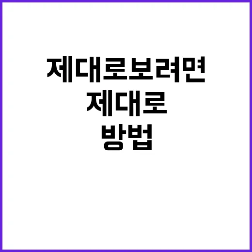 스트로베리문 제대로 보려면 이렇게 준비하는 방법 - 요약