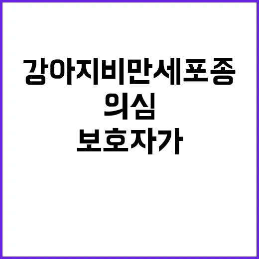 강아지 비만세포종 의심될 때 보호자가 먼저 확인하는 방법 - 요약