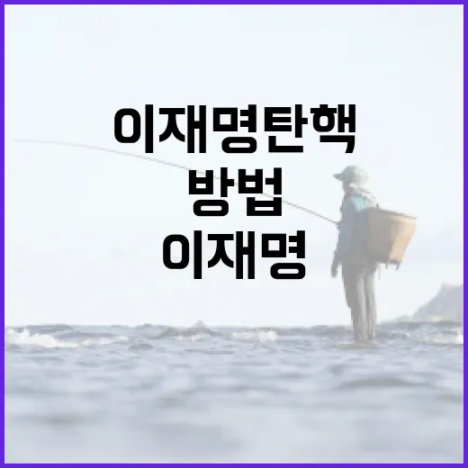 이재명 탄핵 검색했을 때 사실 확인하는 방법 - 요약