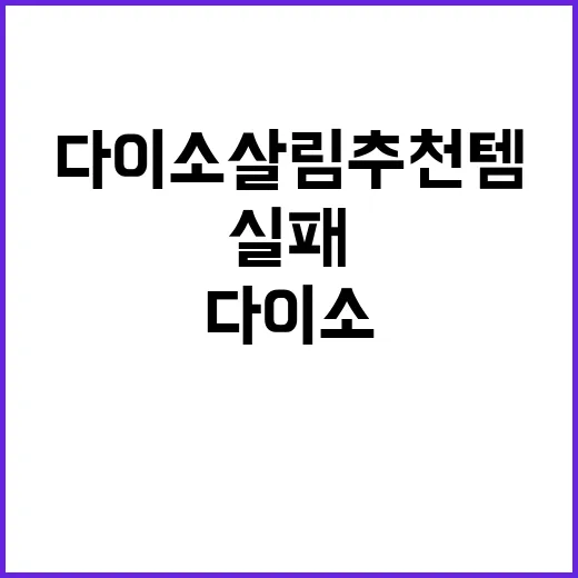 다이소 살림 추천템 5선 실패 없이 고르는 방법 - 요약