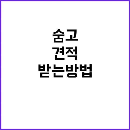 숨고 처음 이용할 때 견적 덜 흔들리게 받는 방법 - 요약