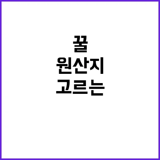 티파니 꿀 고르는 방법, 향과 원산지까지 보고 사려면 이렇게 - 요약