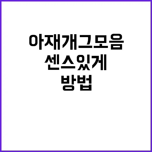 아재개그 모음 센스 있게 써먹는 방법 - 요약