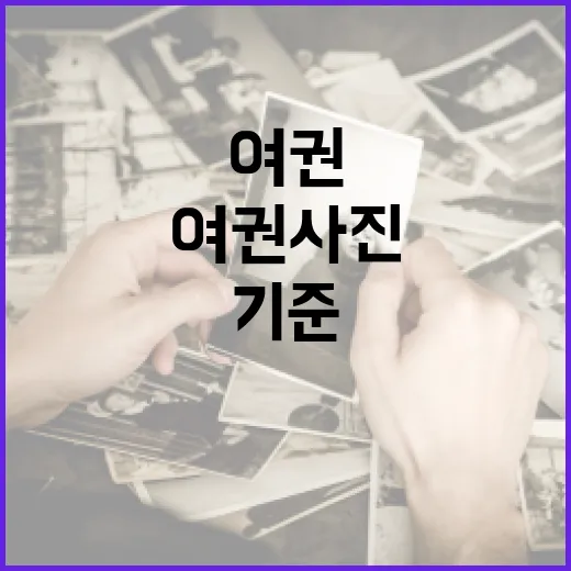여권사진 옷 고르는 방법, 반려 걱정 줄이는 색상과 목선 기준 - 요약