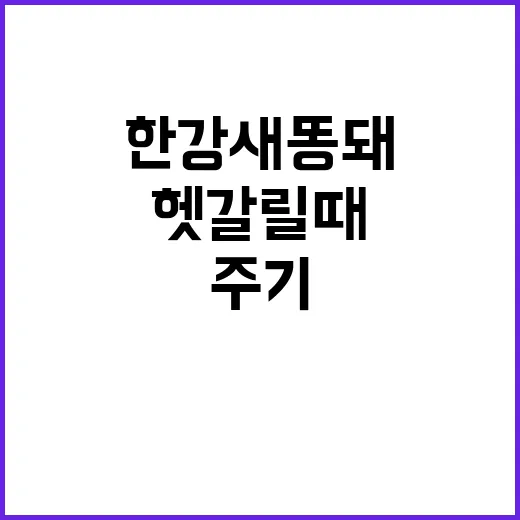 한강새똥돼주길뜻 헷갈릴 때 자연스럽게 이해하는 방법 - 요약