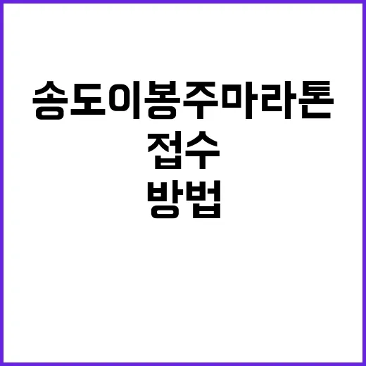 송도 이봉주 마라톤 준비하는 방법, 접수 전부터 당일 짐까지 이렇게 챙기면 편해요 - 요약