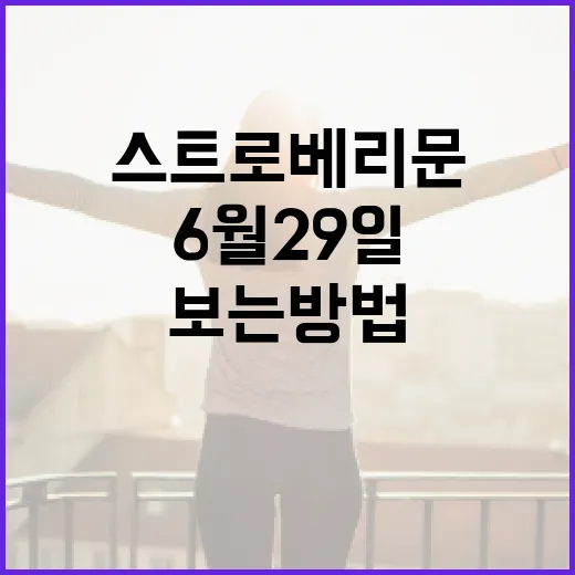 6월 29일 스트로베리문 제대로 보는 방법 - 요약