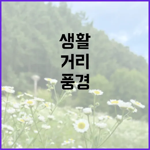 거리의 풍경을 생활 정보로 기록하는 방법, 그냥 지나치지 않으려면 이렇게 - 요약