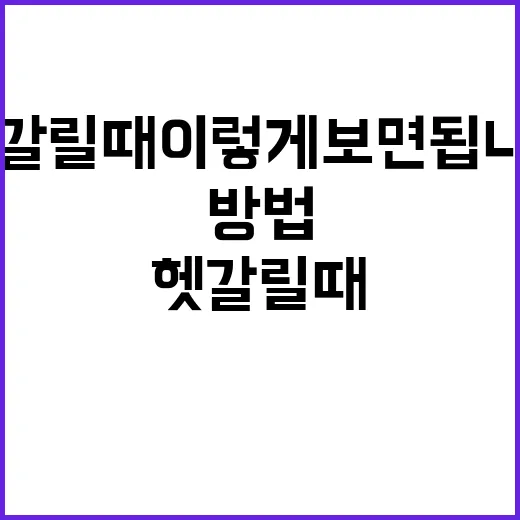 손석희 이력과 최근 방송 확인하는 방법, 헷갈릴 때 이렇게 보면 됩니다 - 요약