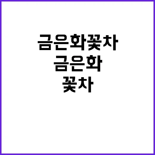 금은화꽃 차로 즐기려면 이렇게 준비하세요 - 요약