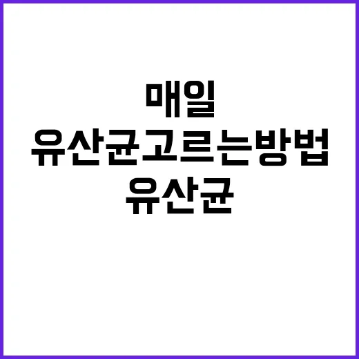 유산균 고르는 방법, 매일 먹을 제품은 이렇게 확인하세요 - 요약