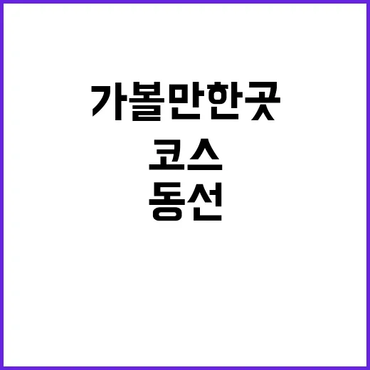 부산가볼만한곳 하루 코스 짜는 방법, 처음 가도 덜 헤매는 동선 - 요약