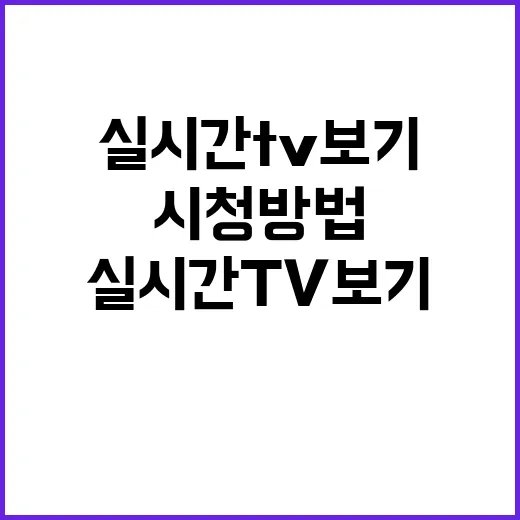 실시간TV보기 초보자를 위한 합법 시청 방법과 데이터 아끼는 요령 - 요약