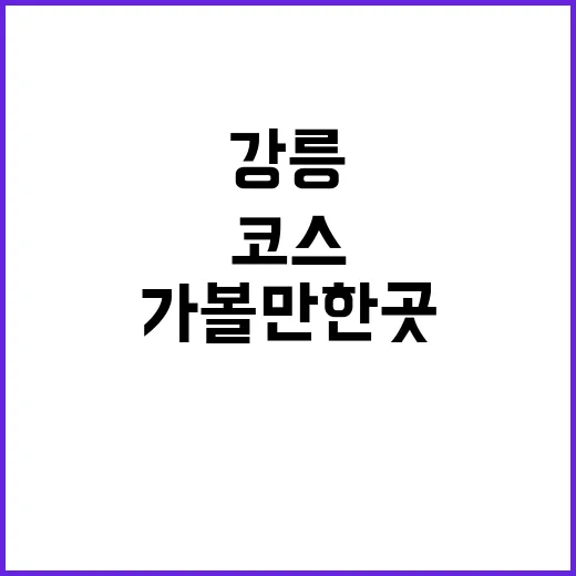 강릉가볼만한곳 알뜰하게 하루 코스 짜는 방법 - 요약