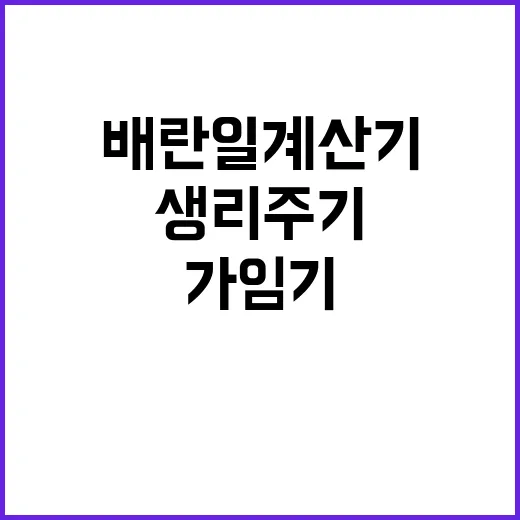 배란일계산기 제대로 쓰는 방법, 생리주기부터 가임기까지 이렇게 잡아요 - 요약