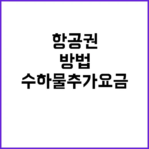 티웨이 항공권 싸게 예약하고 수하물 추가요금 줄이는 방법 - 요약