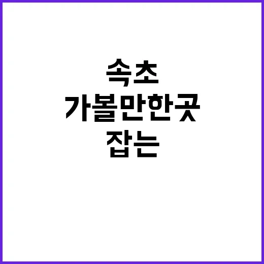 속초가볼만한곳 알뜰하게 돌려면 이렇게 코스 잡는 방법 - 요약
