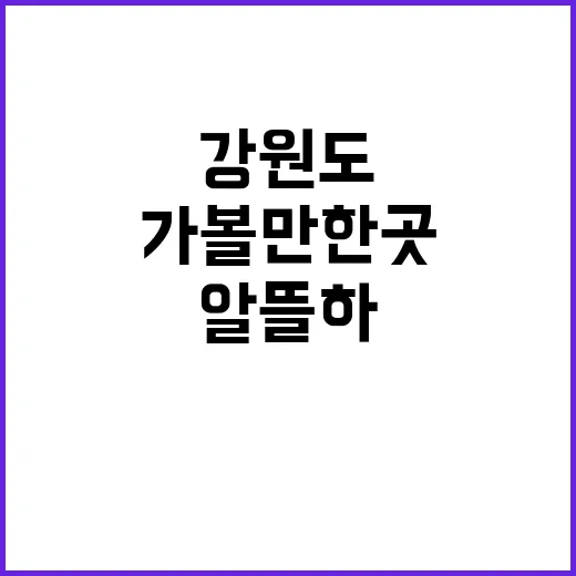 강원도가볼만한곳 알뜰하게 고르는 방법, 동선별로 이렇게 잡으세요 - 요약