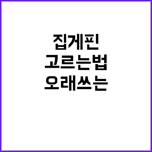 집게핀 오래 쓰는 방법, 흘러내림 줄이고 깔끔하게 고르는 법 - 요약