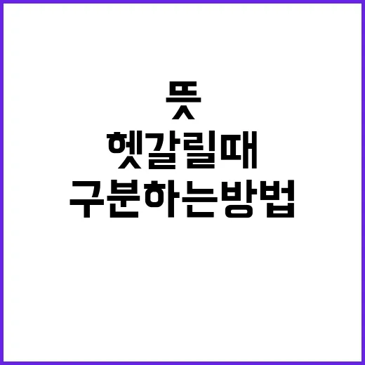 CIA 뜻 헷갈릴 때 생활 속에서 구분하는 방법 - 요약