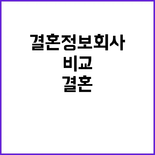 결혼정보회사 고르려면 이렇게 비교하면 덜 후회합니다 - 요약