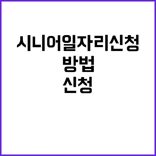 시니어일자리 신청하는 방법, 60세 이후 일거리 찾으려면 이렇게 챙기세요 - 요약