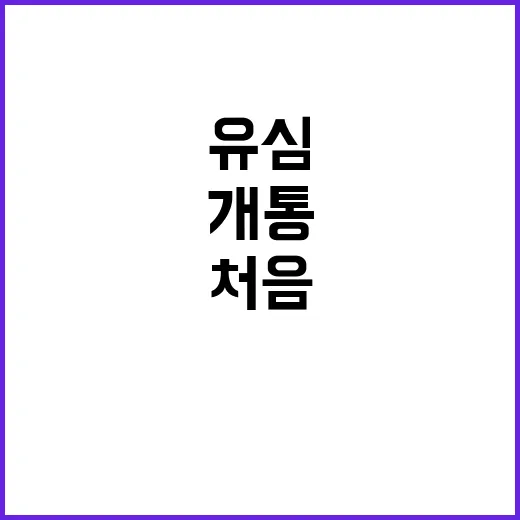유심 처음 바꾸는 방법, 개통부터 보관까지 헷갈리는 부분만 쉽게 - 요약