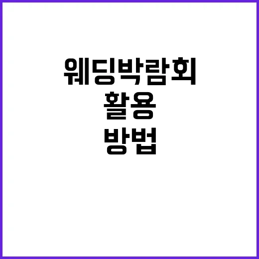 웨딩박람회 제대로 활용하는 방법, 계약 전 꼭 챙길 것들 - 요약