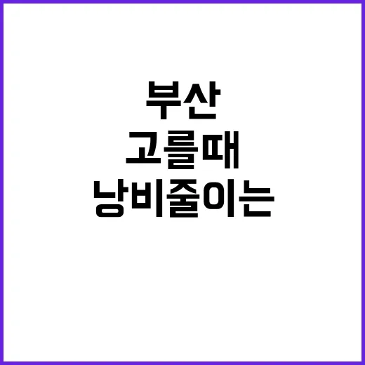 부산놀거리 처음 고를 때 동선 낭비 줄이는 방법 - 요약