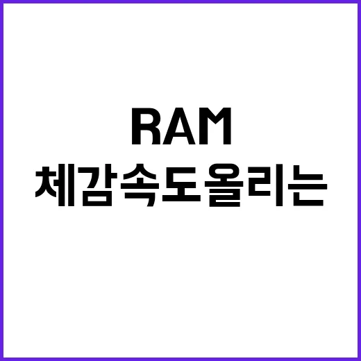 RAM 부족할 때 체감 속도 올리는 방법, 교체 전 이렇게 확인하세요 - 요약