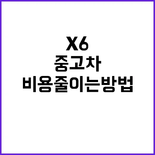 X6 중고차 보러 가기 전 비용 줄이는 방법 - 요약