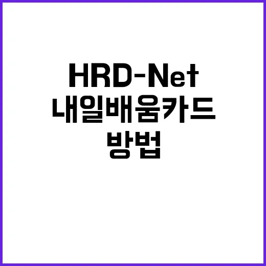HRD-Net으로 내일배움카드 강의 찾는 방법, 초보자도 헷갈리지 않게 고르는 기준 - 요약
