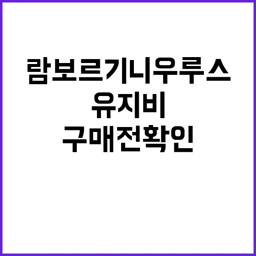 람보르기니우루스 유지비와 구매 전 확인하는 방법 - 요약