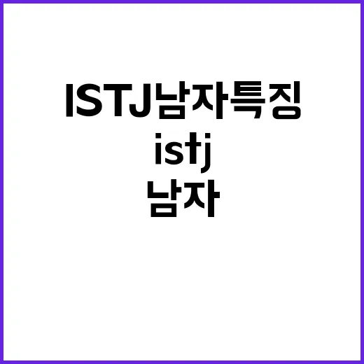 ISTJ 남자 특징 알아두고 편하게 맞춰가는 방법 - 요약