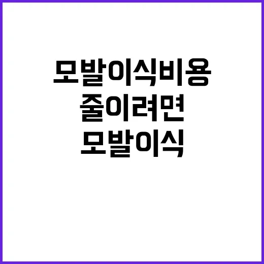 모발이식비용 줄이려면 이렇게 비교하세요 - 요약