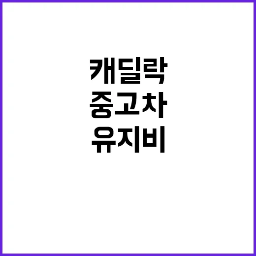 캐딜락 중고차 고를 때 유지비 줄이는 방법 - 요약