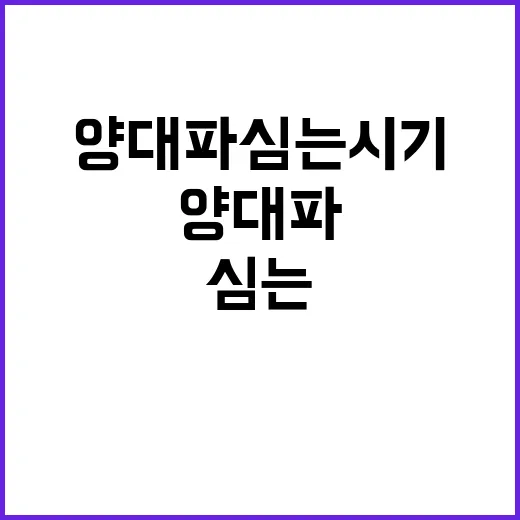 양대파 심는시기 놓치지 않으려면 이렇게 심으세요 - 요약