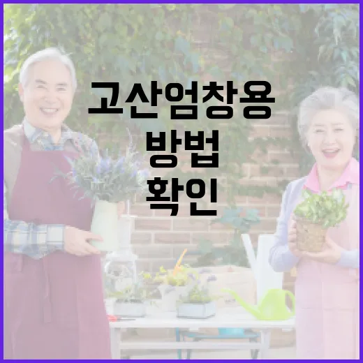 고산 엄창용 정보 찾는 방법, 이름만 보고 헷갈릴 때 이렇게 확인하세요 - 요약