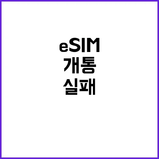 ESIM 처음 쓰는 사람도 실패 없이 개통하는 방법 - 요약