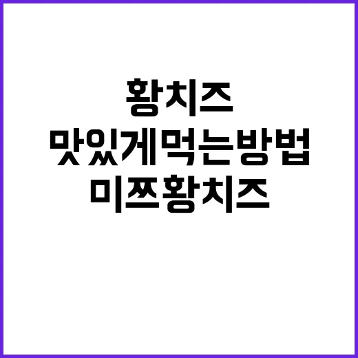 미쯔 황치즈 맛있게 먹는 방법, 그냥 뜯기 아까운 조합까지 - 요약