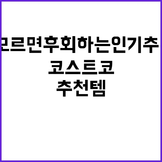 코스트코 모르면 후회하는 인기 추천템 2가지 고르는 방법 - 요약