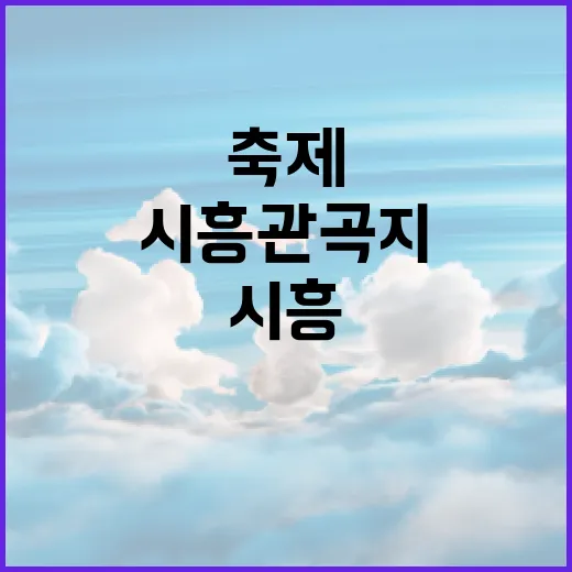 시흥 관곡지 축제 알뜰하게 다녀오는 방법 - 요약